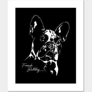 French Bulldog dog Frenchie portrait Posters and Art